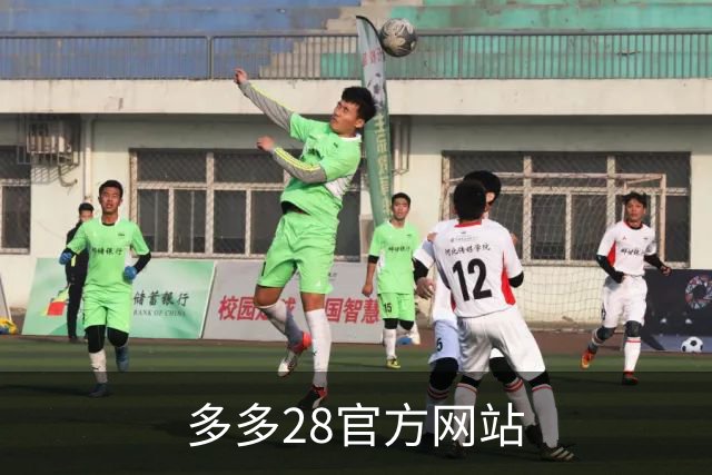 多多28官方网站品牌介绍图片